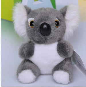 10 cm Koala Bear - Free Shipping to N.A.