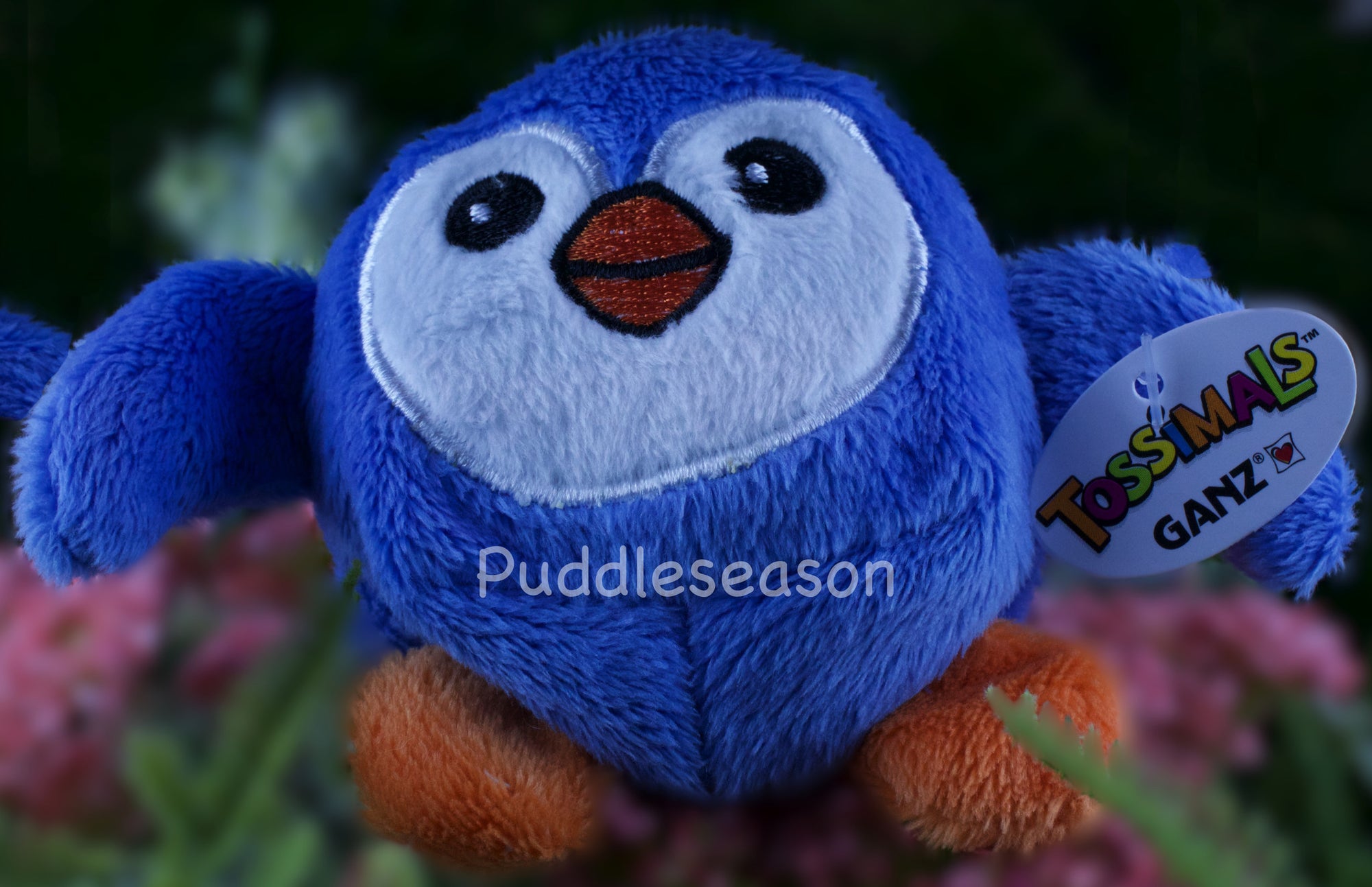 Tossimal Blue Penguin