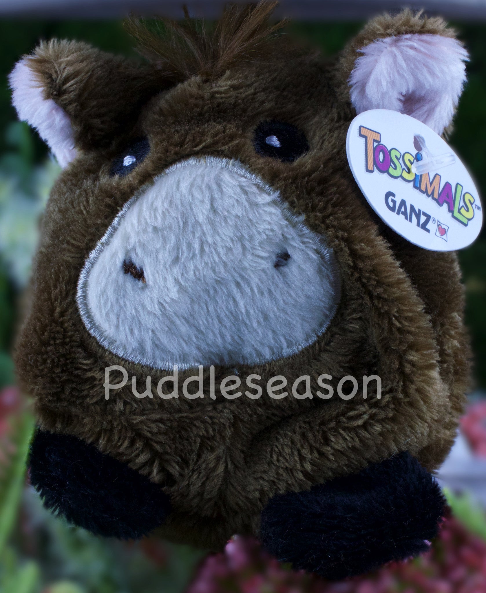 Tossimal Brown Horse