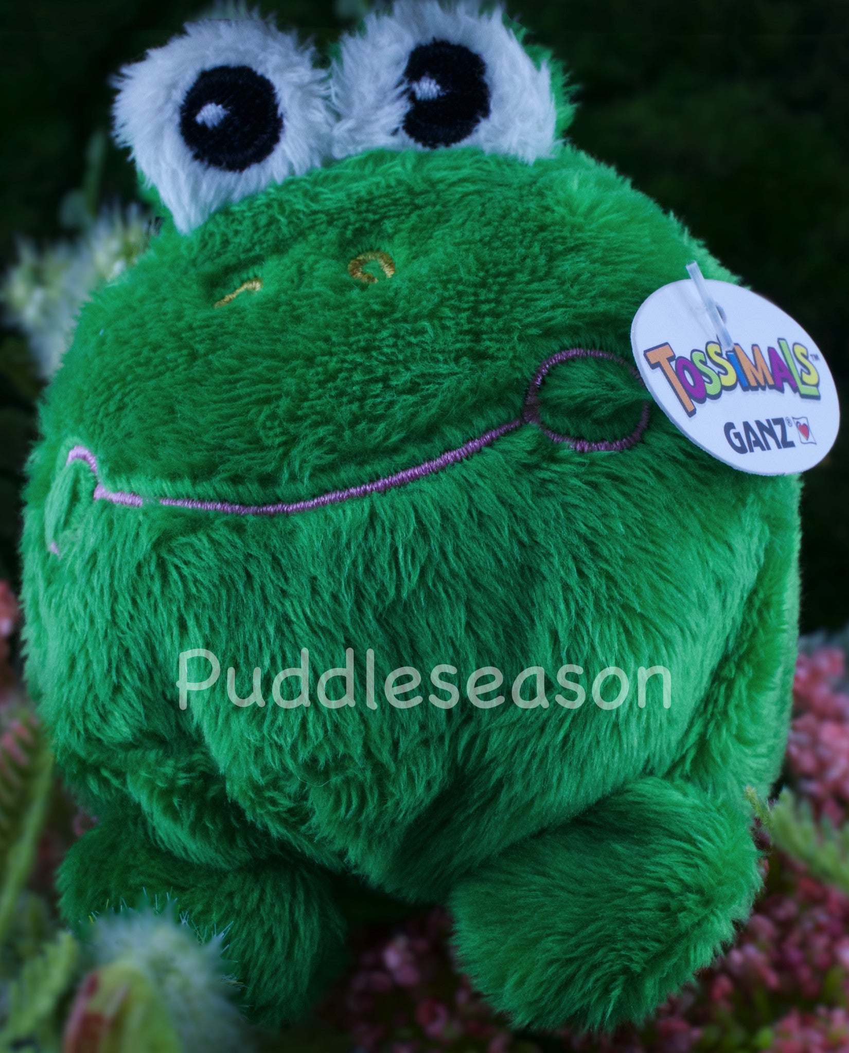 Tossimal Green Frog