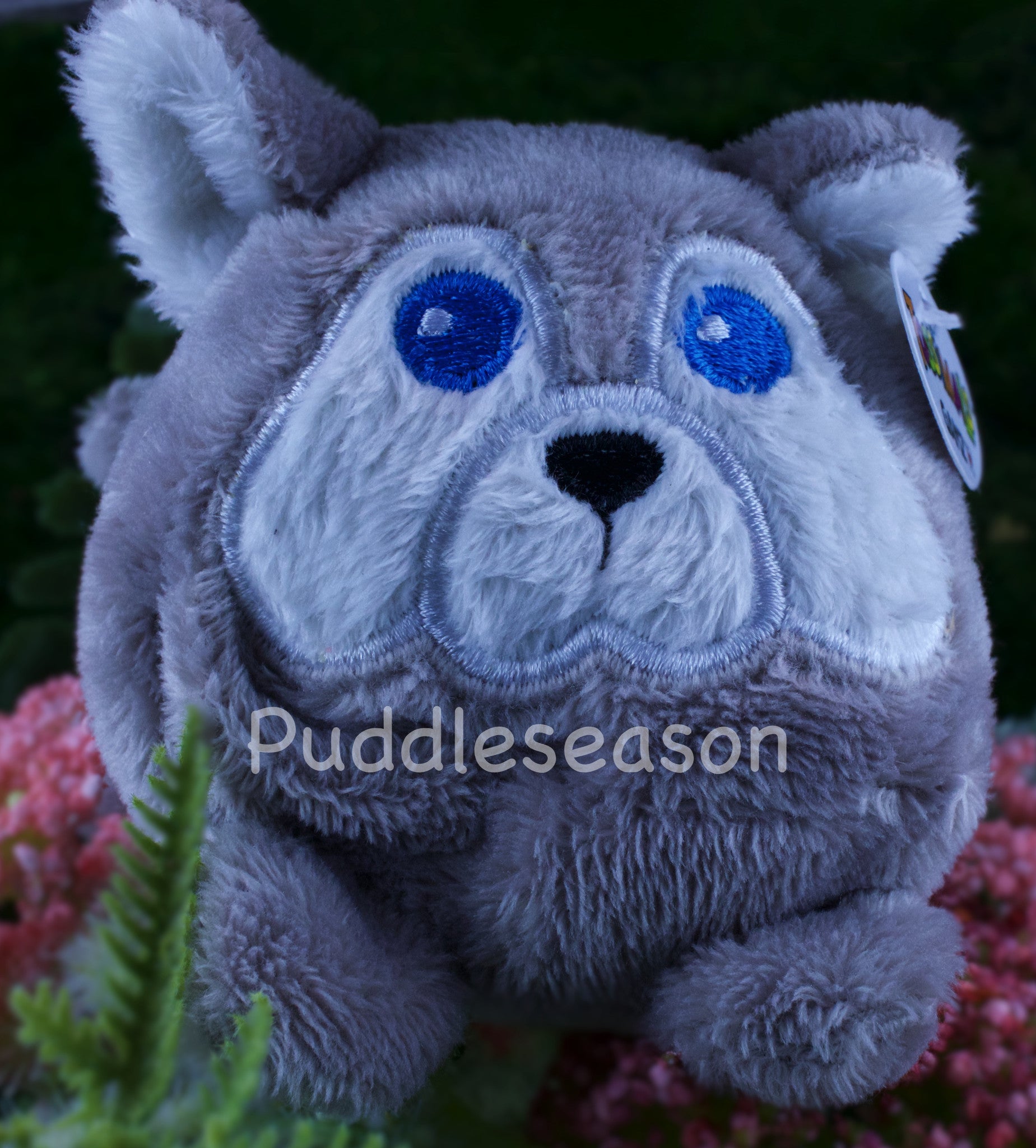 Tossimal Husky