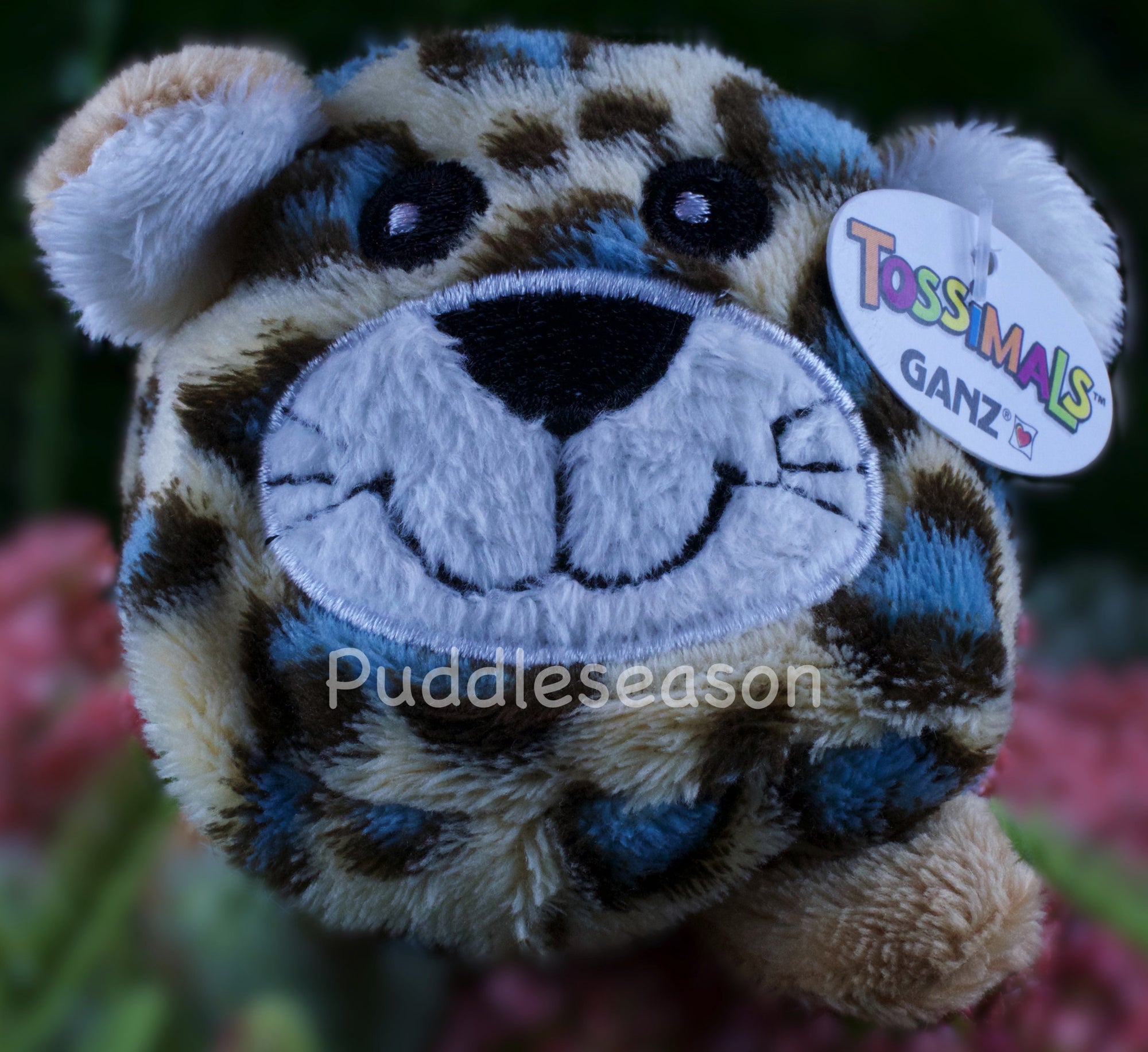 Tossimal Leopard