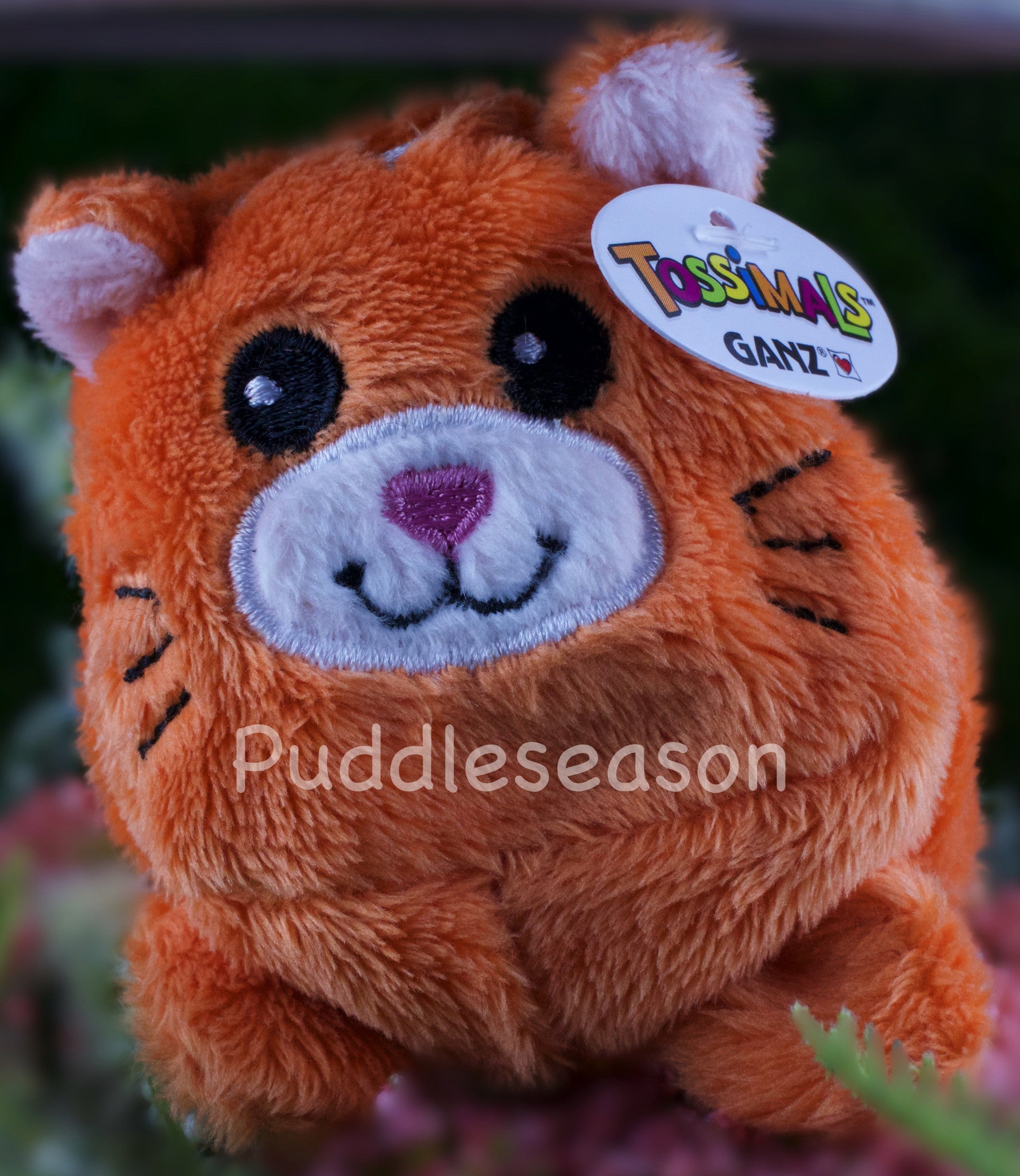 Tossimal Orange Kitty