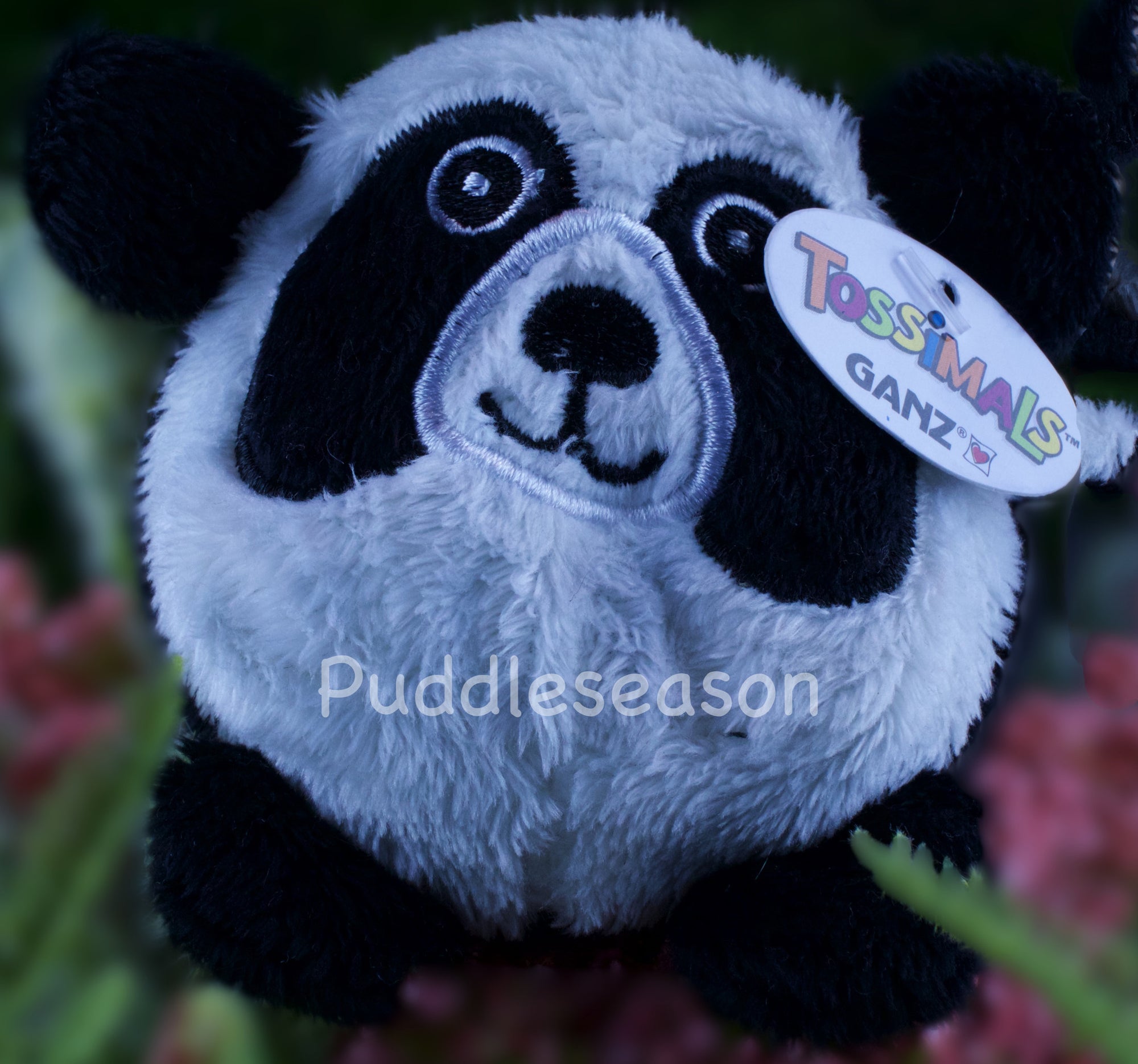 Tossimal Panda