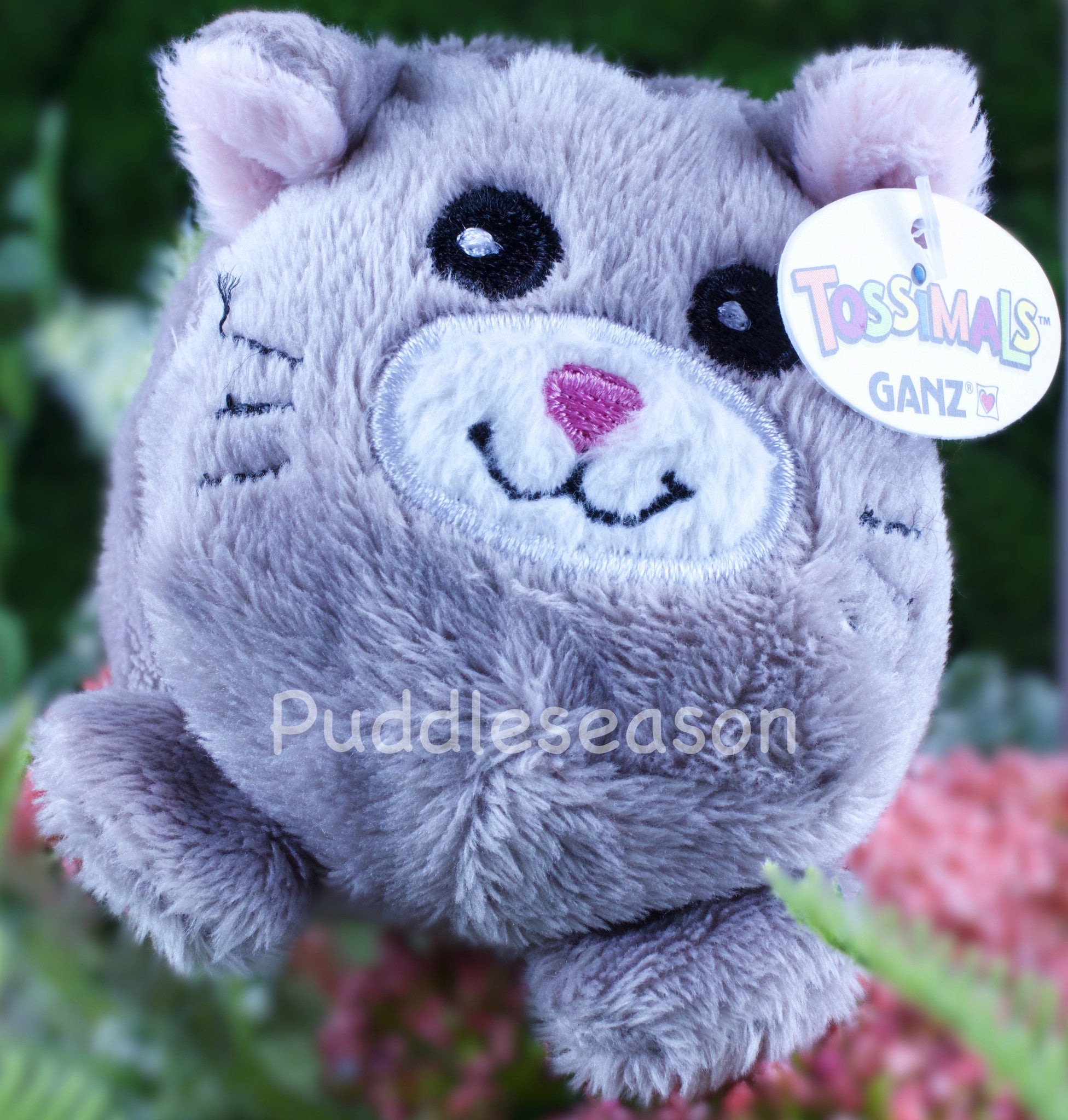 Tossimal Silver Kitty