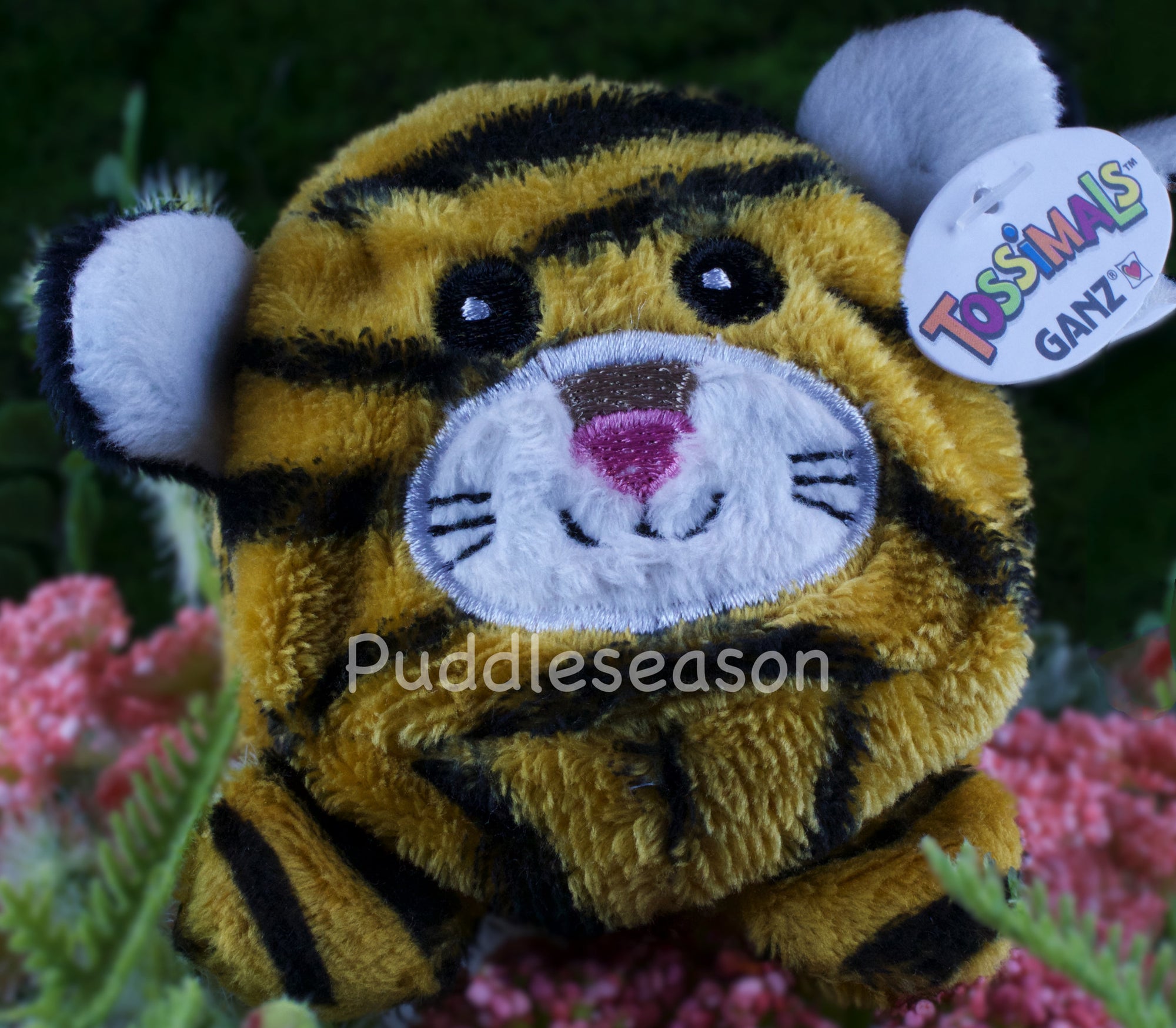 Tossimal Tiger