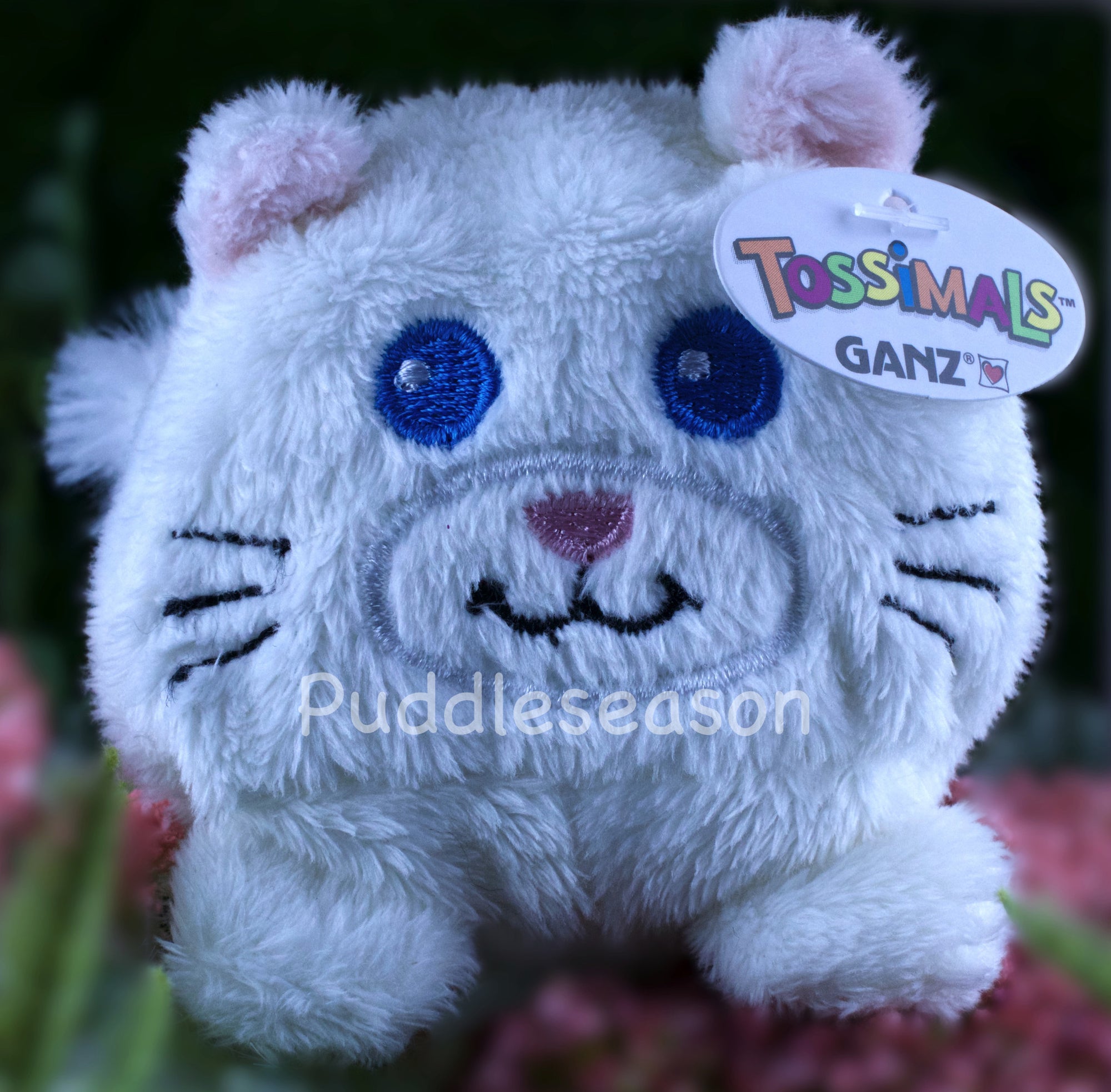 Tossimal White Kitty