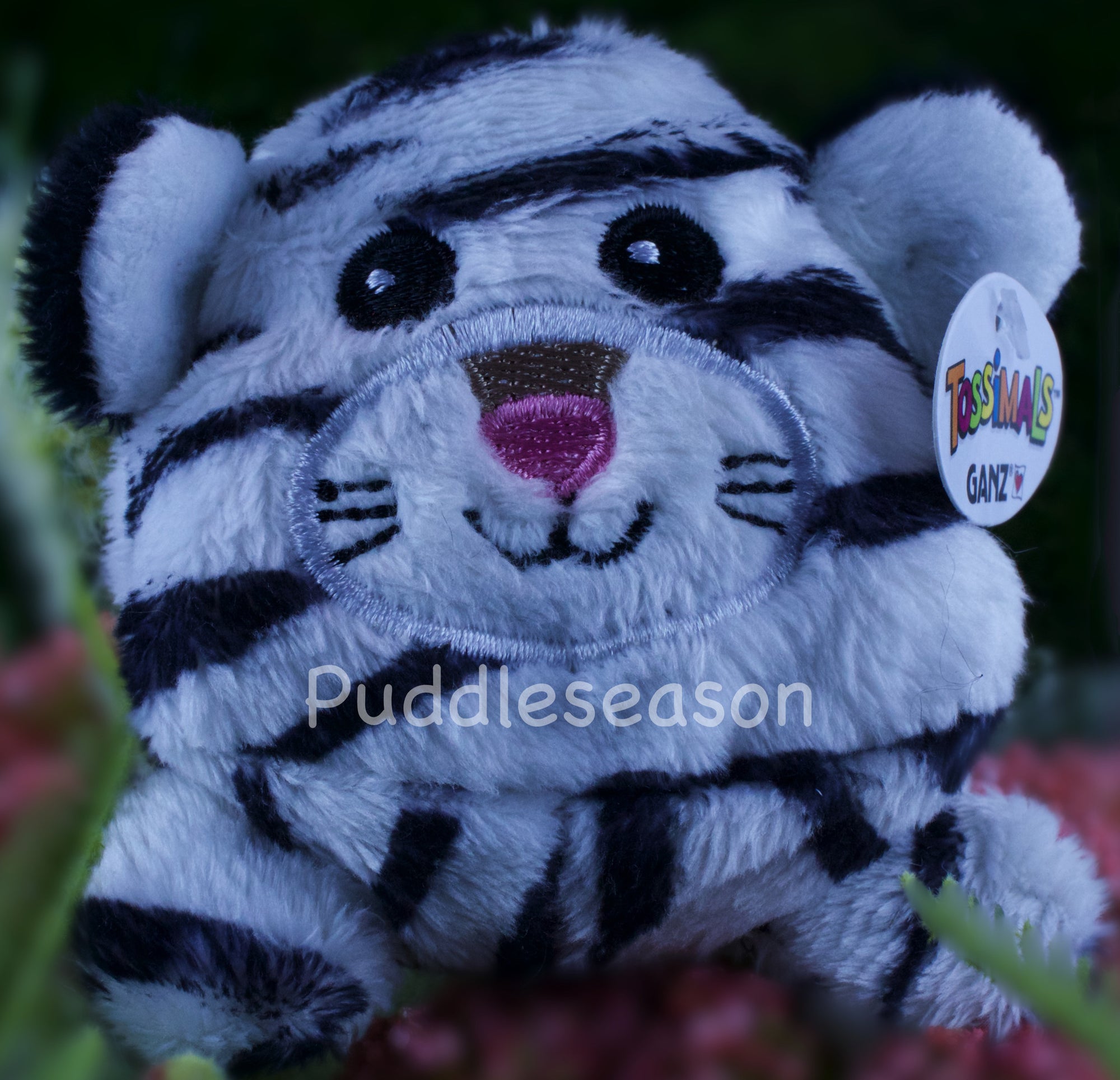 Tossimal White Tiger